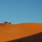 land survey dubai 85x85